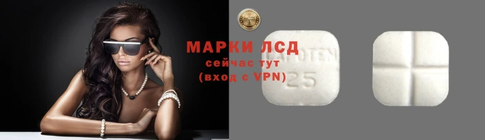 дмт Алексин