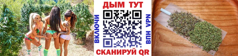 Бошки марихуана Bruce Banner  Бокситогорск 